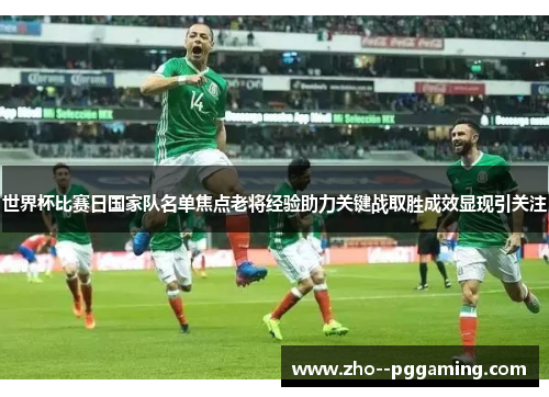 世界杯比赛日国家队名单焦点老将经验助力关键战取胜成效显现引关注