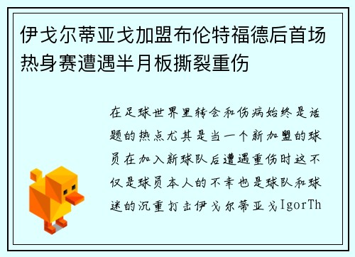 伊戈尔蒂亚戈加盟布伦特福德后首场热身赛遭遇半月板撕裂重伤 伊戈尔蒂亚戈加盟布伦特福德后首场热身赛遭遇半月板撕裂重伤